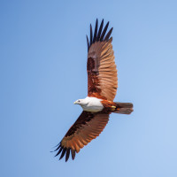 Ashburton River at Urala Causeway